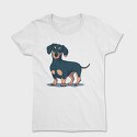 Dachshund, Tricou Femei