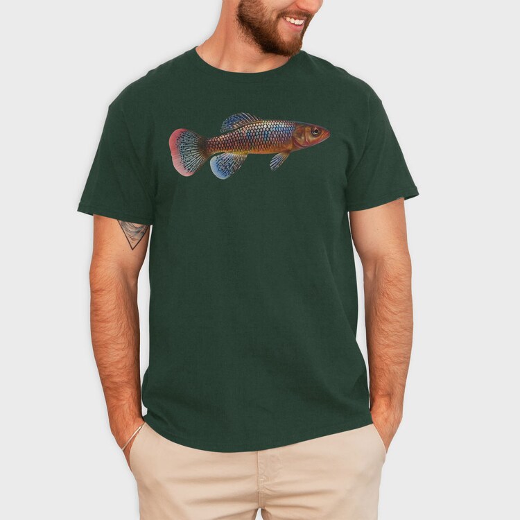 Killifish, Tricou Barbati (Unisex)