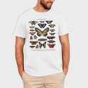 Butterflies Catalog, Tricou Barbati (Unisex)